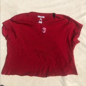 hand cropped embroidered indiana crop top